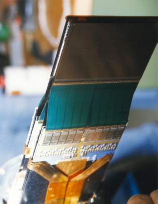 Silicon microstrip detector module of HERA-B